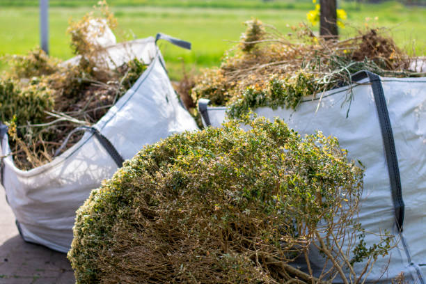 Best Same-Day Junk Removal Services  in Mcminnville, OR